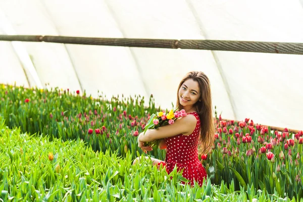 Frau schneidet die Tulpen — Stockfoto