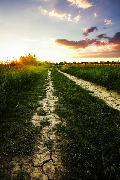 Landelijke ochtend landschap — Stockfoto