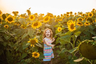 Happy child having fun in summer field with sunflowers. Freedom concept