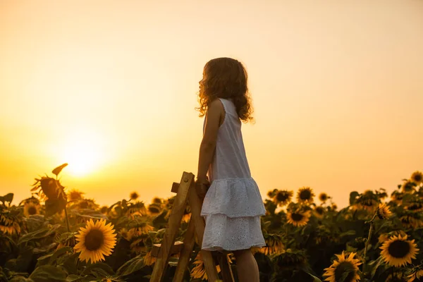 Joyeux enfant fille sur le dessus de l'échelle, contre le champ de tournesols — Photo