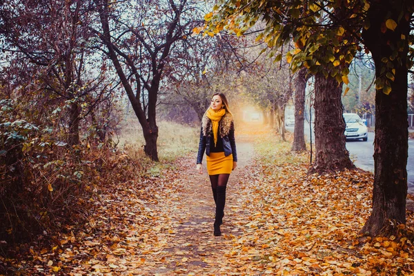 Mulher jovem na moda que anda no parque de outono — Fotografia de Stock