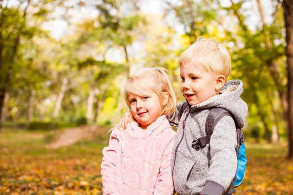 Los niños en un paseo en el parque de otoño —  Fotos de Stock