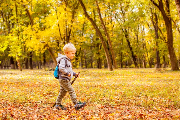 Kleiner Junge wandert mit Stock im Herbstwald — Stockfoto