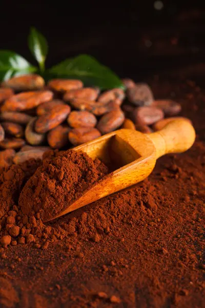 Ingredienti per la preparazione del cioccolato. Fagioli di cacao e cacao in polvere da vicino — Foto Stock