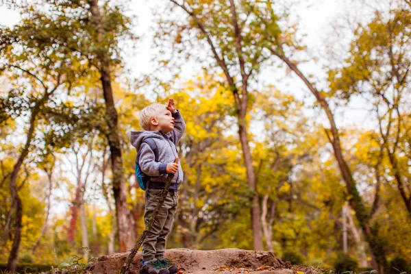 Χαριτωμένο παιδί βλέποντας τη φύση στην καμπούρα στο δάσος — Φωτογραφία Αρχείου