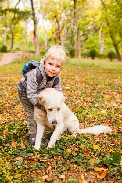 Pequeño amante de los animales en un paseo de otoño con perro mascota —  Fotos de Stock
