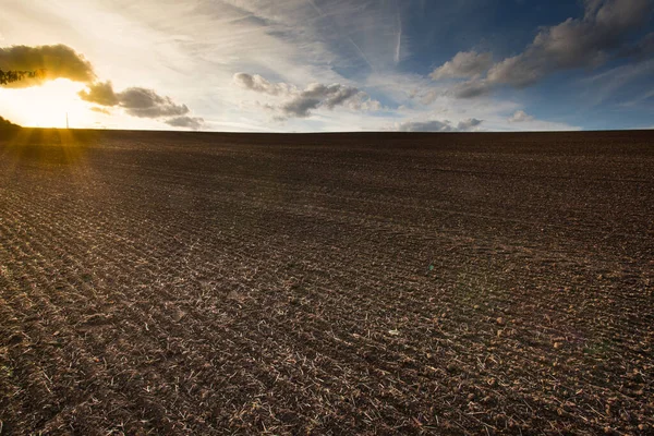 Champ pulvérisé préparé pour planter des cultures au coucher du soleil — Photo