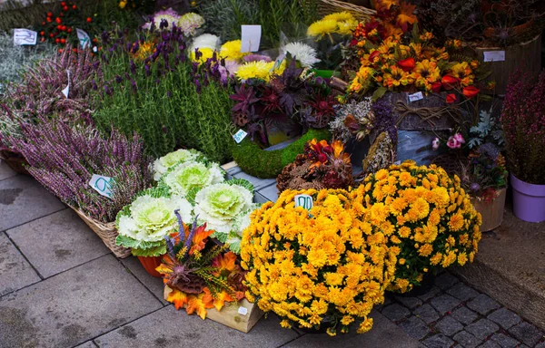 Flores fora da loja de flores no outono — Fotografia de Stock