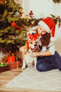 Güzel kız Noel ağacının yanında köpeğiyle oynuyor. Mutlu Noel Tatilleri.