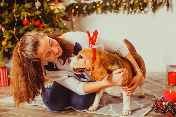 Süße Besitzerin mit Hund auf Weihnachtsfeier — Stockfoto