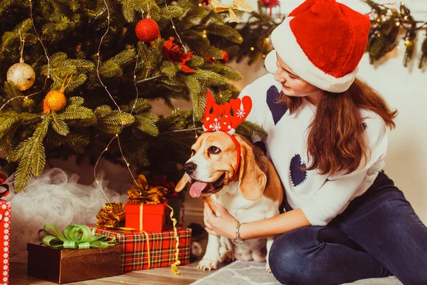Nettes Mädchen mit Hund sitzt neben dem Weihnachtsbaum — Stockfoto