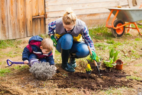 Little gardener helping his mom, planting flowers — 스톡 사진