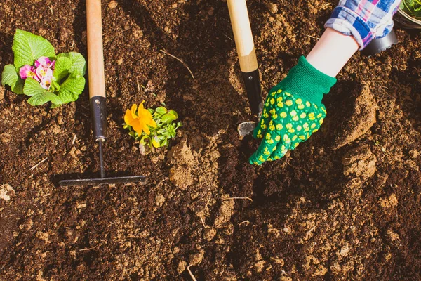 Top view hand of a woman with garden equipment — Stock Photo, Image