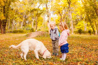 Köpekli küçük sahipleri doğa yürüyüşüne çıktılar.