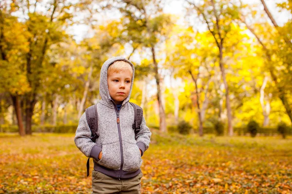 Portret uroczego chłopca jesienią — Zdjęcie stockowe