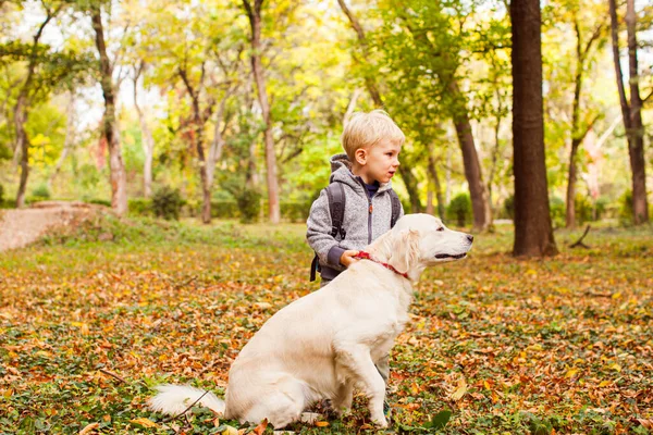 El niño está entrenando a su perro en el bosque de otoño. — Foto de Stock