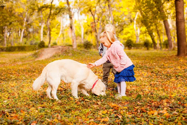 Niños felices con perro recuperador de oro en el paseo en otoño — Foto de Stock