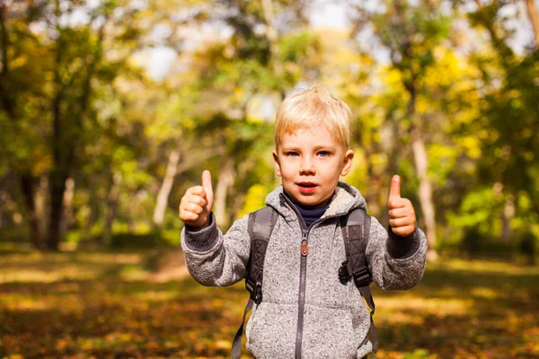 Szczęśliwy przedszkolak pokazuje znak Ok w jesiennym parku — Zdjęcie stockowe