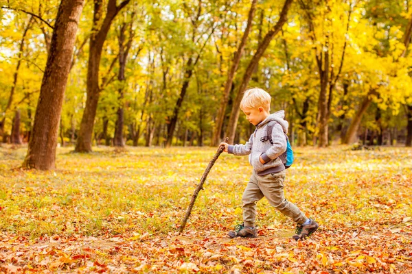 Verspielter Junge wandert mit Stock und Rucksack in einem Park. — Stockfoto