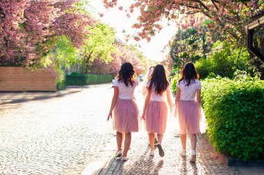 Bir grup kız arkadaş bahar zamanı şehir caddesinde yürürken Sakura ağacı çiçek açıyor.