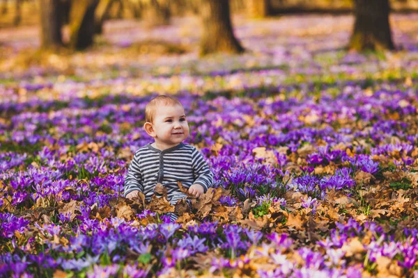 Little boy in spring park with saffrons — 스톡 사진
