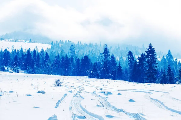 Schöne Landschaft an einem kalten Wintertag — Stockfoto