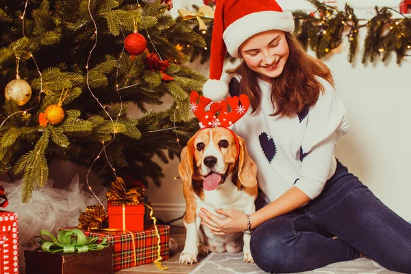 Lustiges Mädchen und Hund warten zu Hause auf das neue Jahr — Stockfoto