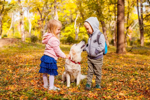 Precioso hermano y hermana jugando con perro mascota en el bosque de otoño — Foto de Stock