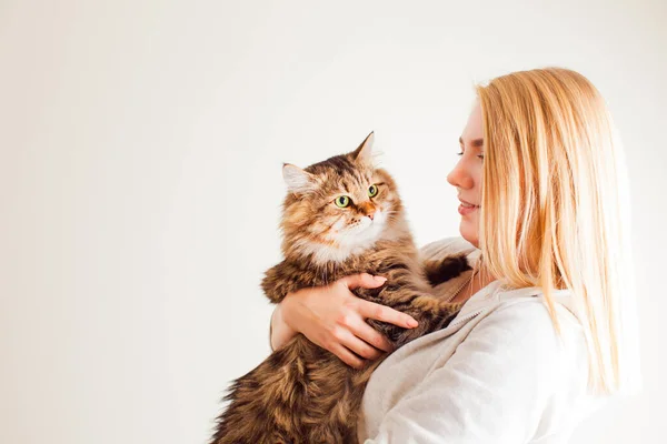 Bonita dama rubia sosteniendo lindo gato siberiano — Foto de Stock
