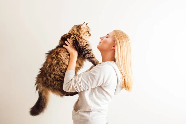Mujer joven sosteniendo nuevo adoptado siberiano gato — Foto de Stock