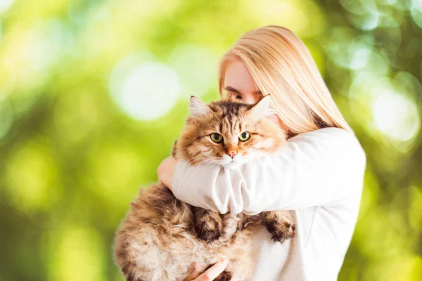 시베리아 고양이에게 키스하고 껴안고 있는 행복 한 젊은 여성 — 스톡 사진