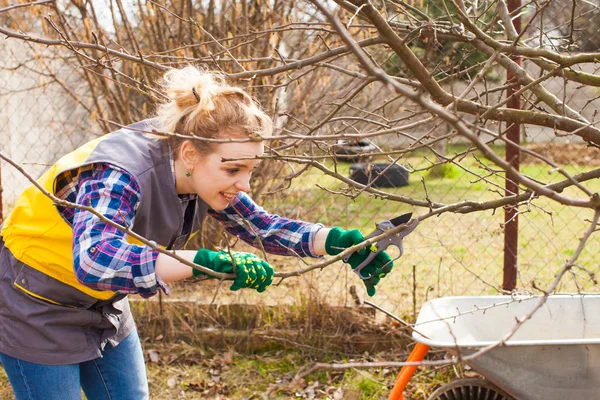 Happy female gardener pruning fruit tree in early spring. — 스톡 사진