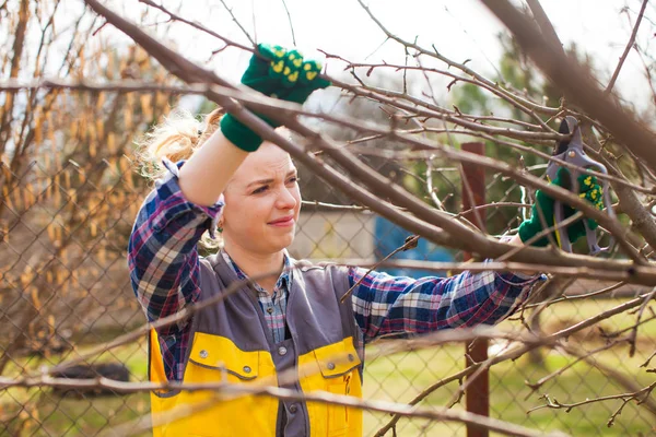 Professionele vrouwelijke tuinman snoeien een fruitboom in de tuin in het vroege voorjaar. — Stockfoto