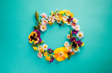 Bahar çiçekleri çerçeve düz turkuaz arkaplan üzerinde yatar