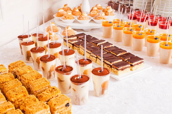 Tiramisu, panna cotta, chocolate desserts and cakes on catering table. Tasty layer honey cake on sweet table — Stock Photo, Image