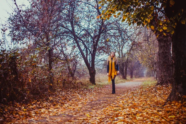 Mujer caminando en el parque de otoño. Chica con estilo lleva chaqueta de cuero negro, vestido amarillo y bufanda al aire libre . — Foto de Stock