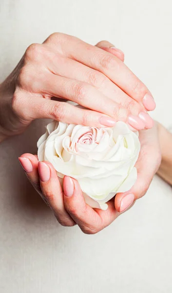 Pastelowa róża w kobiecych rękach. Symbol abstrakcyjny — Zdjęcie stockowe