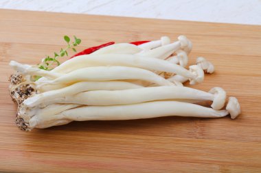 Japon mantar - enoki