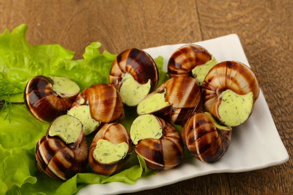 Escargot à la crème au fromage — Photo