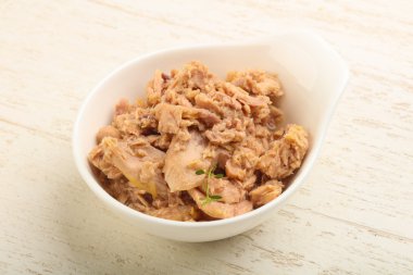 konserve ton balığı filetosu