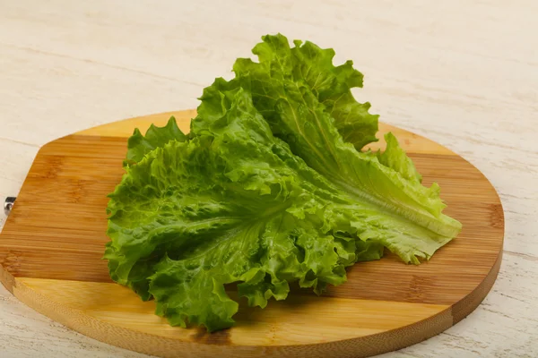 Frische helle Salatblätter — Stockfoto