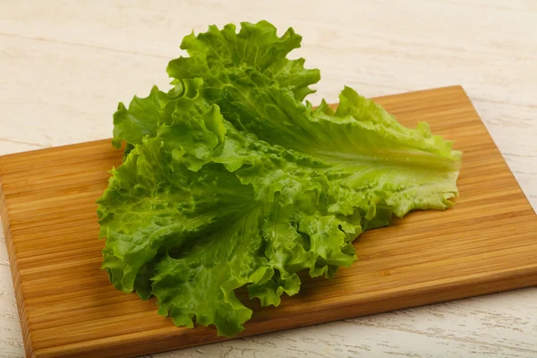 Fresh bright Salad leaves — Stock Photo, Image