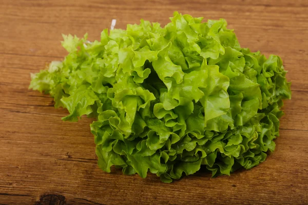 Taze salata yaprakları — Stok fotoğraf