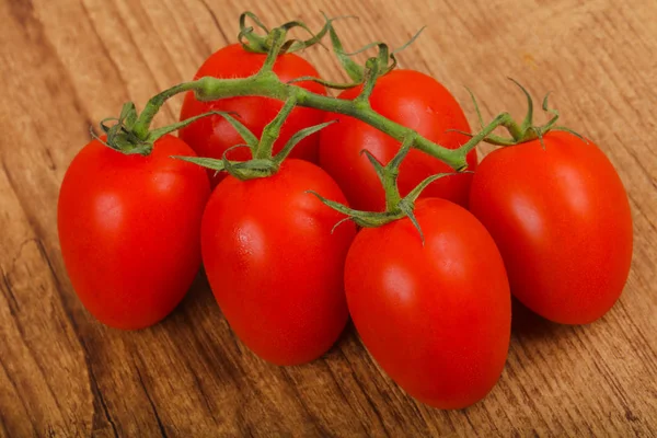Frischer Tomatenzweig — Stockfoto