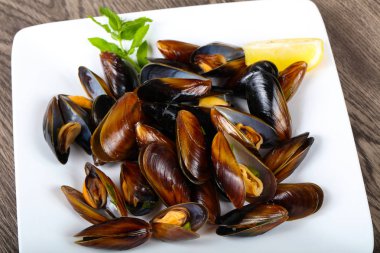 Maydanoz ile haşlanmış midye