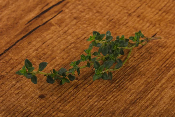 Листя зелене чебрецю — стокове фото