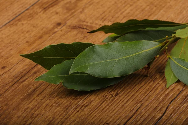 Fresh Laurel leaves — Stock Photo, Image