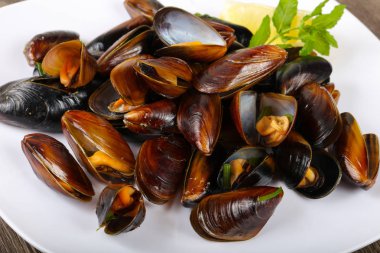 Lezzetli haşlanmış midye