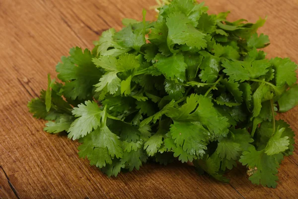 Hojas frescas de cilantro — Foto de Stock