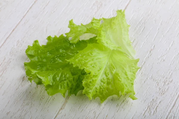 Fresh Salad leaves — Stock Photo, Image